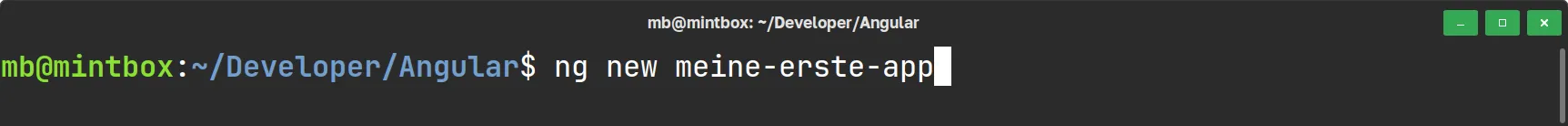 Angular - Erstes Projekt erstellen