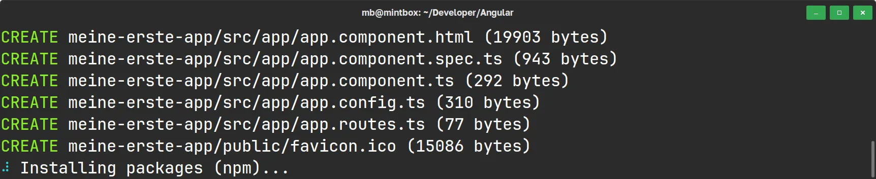 Angular - Einrichtung eines neuen Projekts