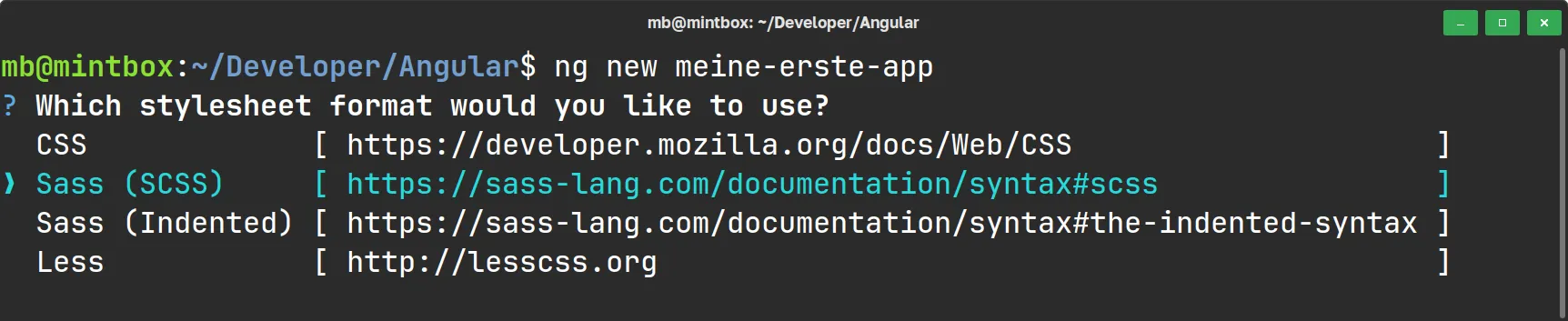 Angular - Frage nach Stylesheet-Format während Einrichtung