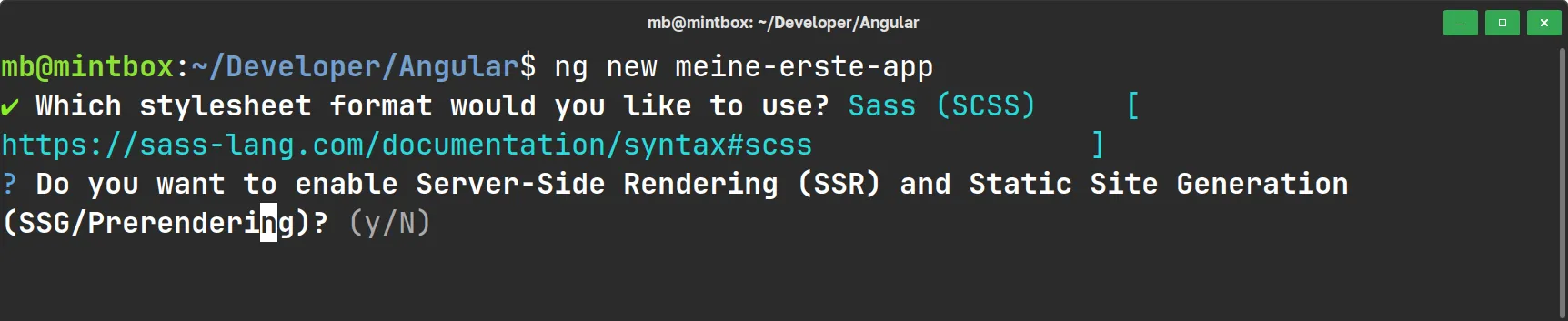 Angular - Frage nach SSR während Einrichtung