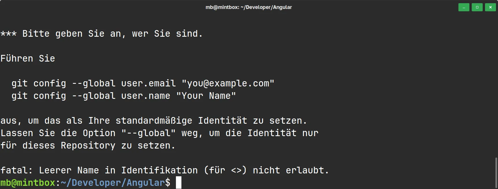 Angular - Warnung: Git Konfiguration