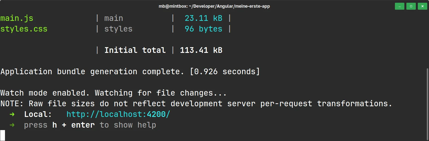 Angular - ng server vs. npm run start