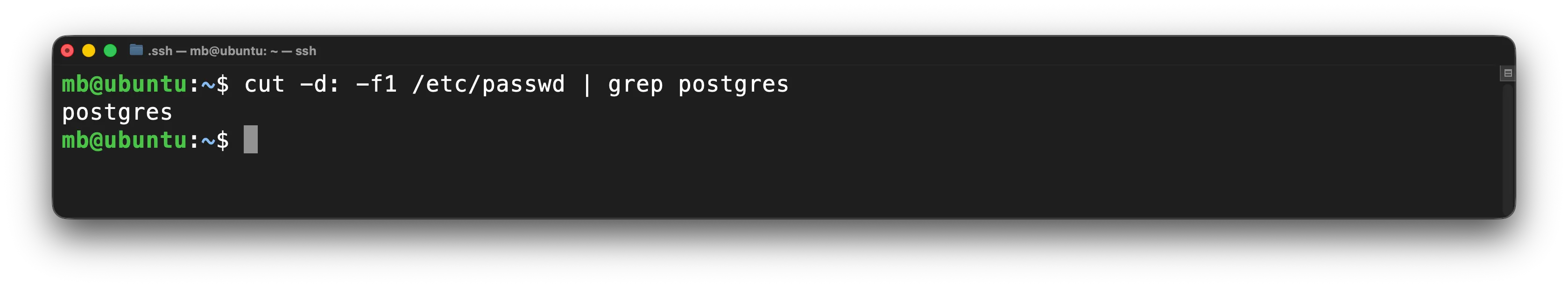 PostgreSQL - System-Benutzer prüfen