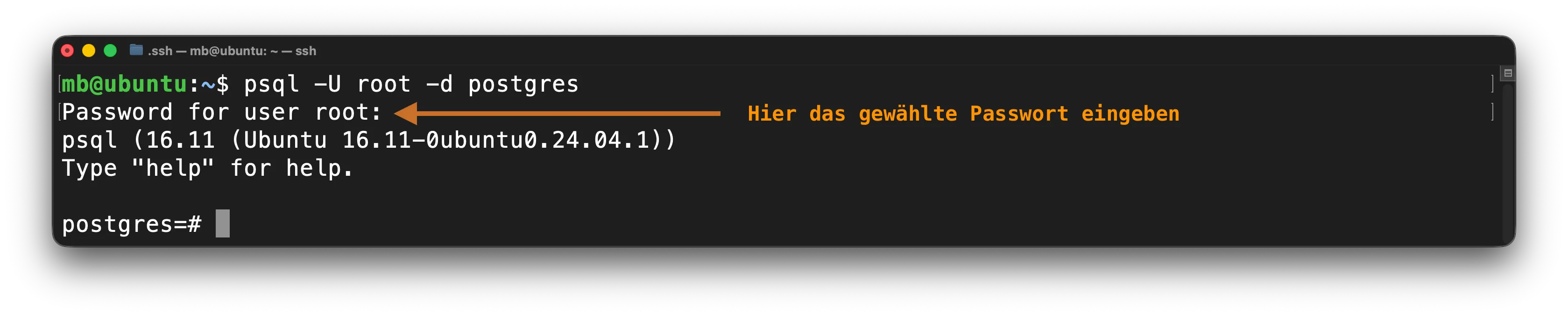 PostgreSQL -  Mit Passwort anmelden