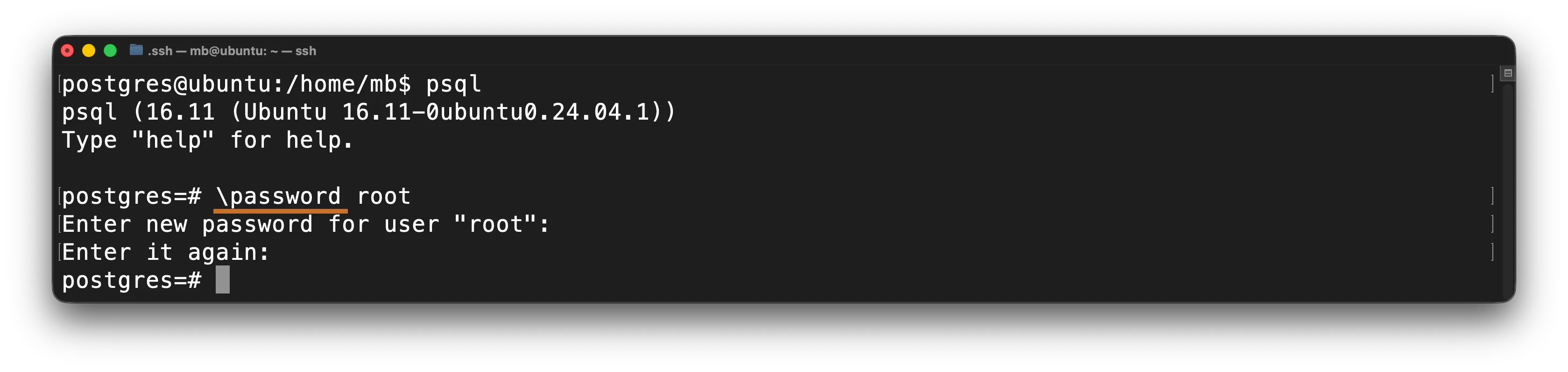 PostgreSQL - Passwort für den neuen Benutzer setzen