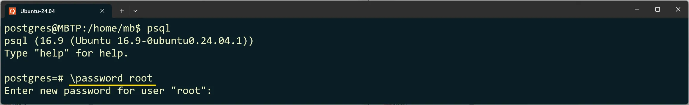 PostgreSQL - Passwort für den neuen Benutzer setzen