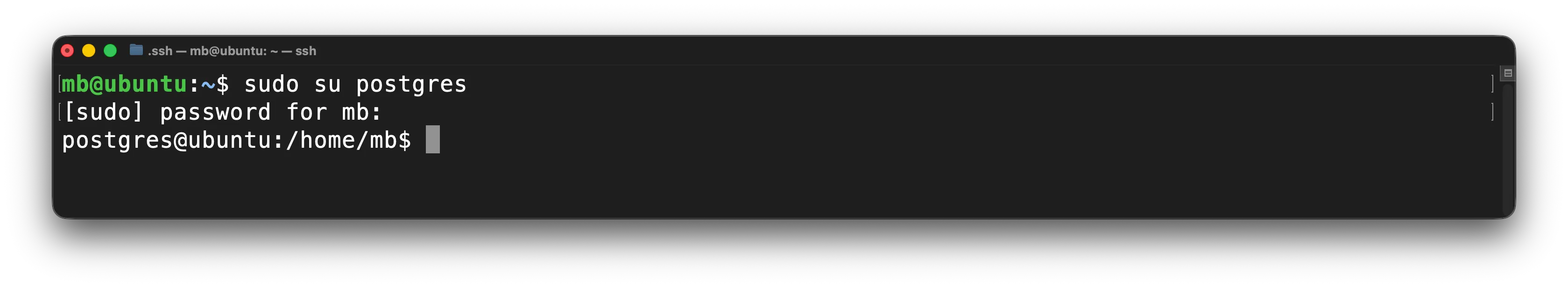 PostgreSQL - Zum Postgres-Benutzer wechseln