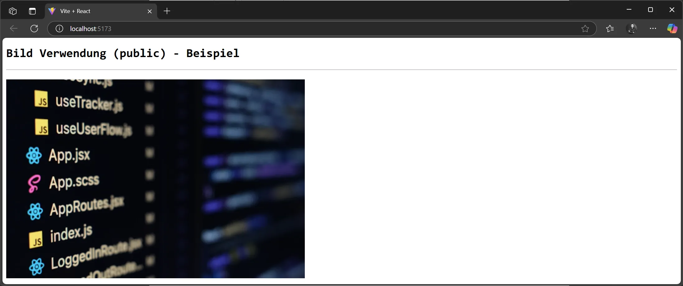 React Component - Render image from public