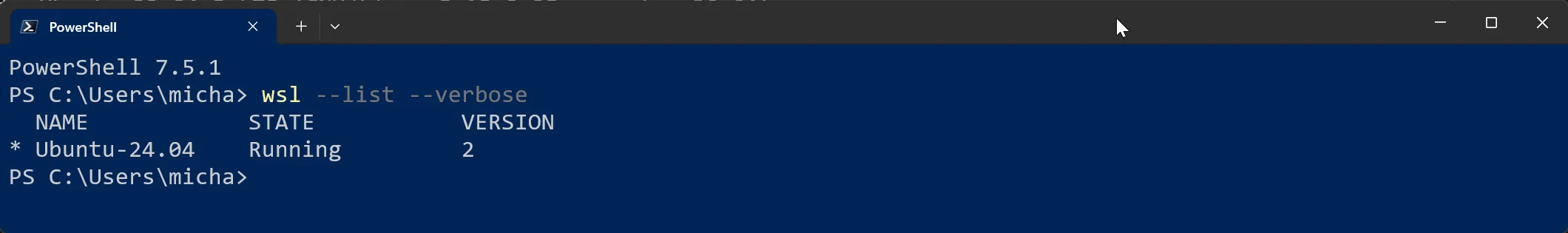 Windows 11 - WSL Version prüfen - Möglichkeit 1