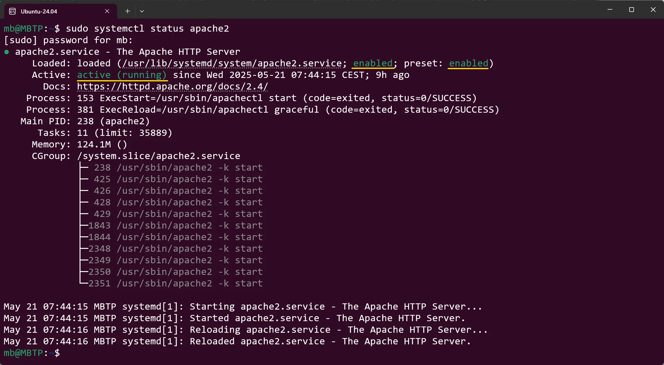 Ubuntu - Apache Status prüfen - Screenshot