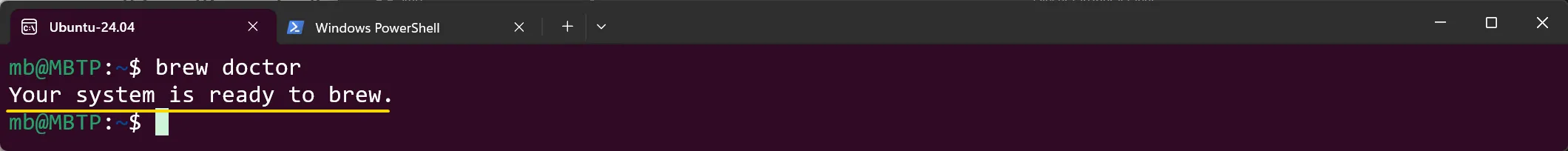 WSL Ubuntu - Homebrew Statusprüfung