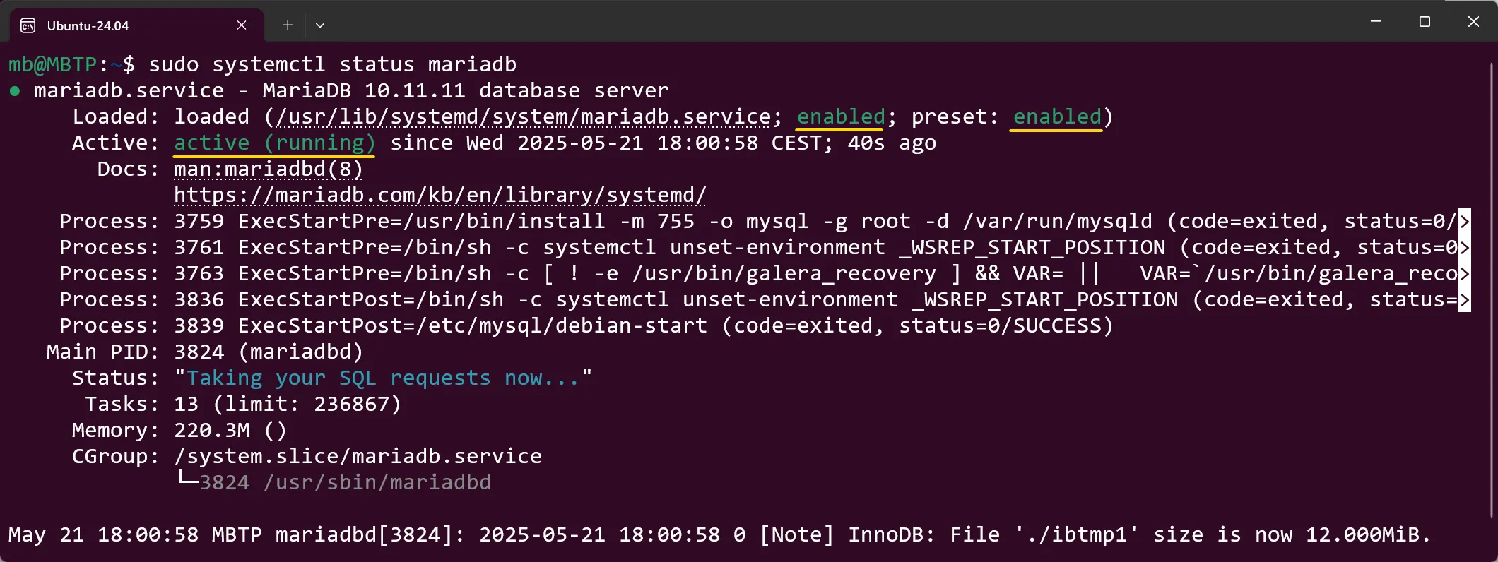 WSL Ubuntu - MariaDB - Status prüfen