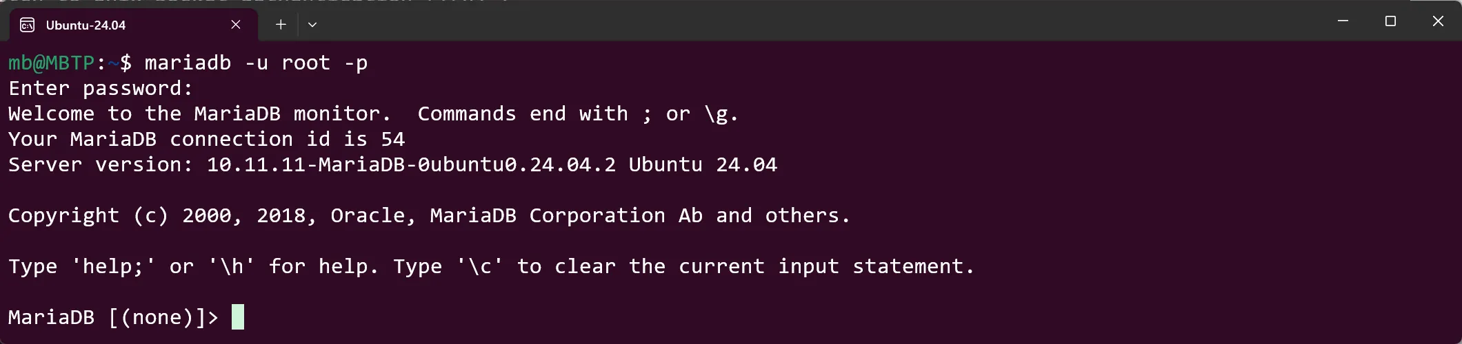 WSL Ubuntu - MariaDB - Login mit Passwort