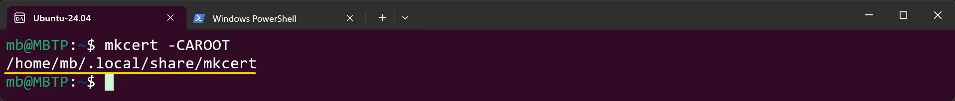 WSL Ubuntu - mkcert - Pfad zum Root-Zertifikat