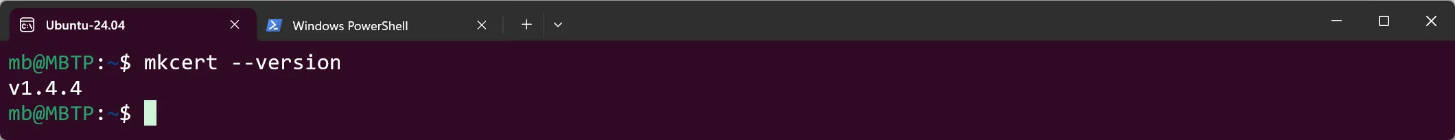 WSL Ubuntu - mkcert - Version prüfen