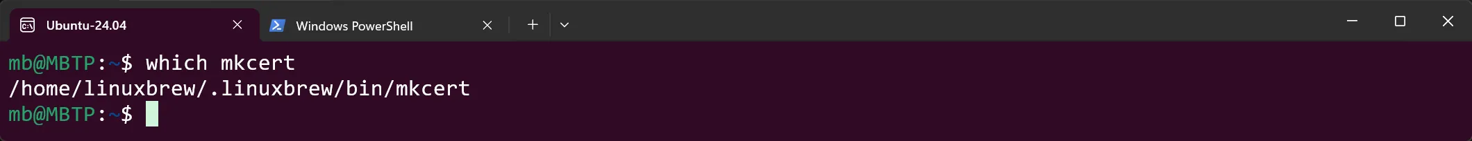WSL Ubuntu - mkcert - Pfad prüfen