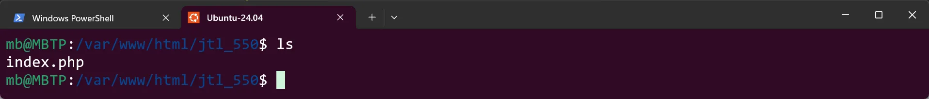 WSL Ubuntu - Datei in Webspace
